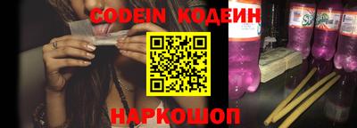 крисы Шебекино