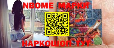 крисы Шебекино