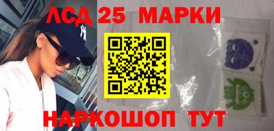 крисы Шебекино