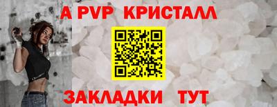 крисы Шебекино