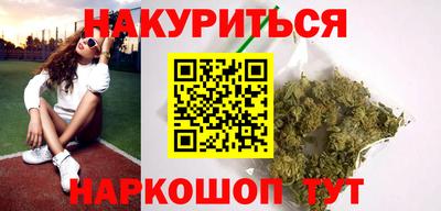 крисы Шебекино