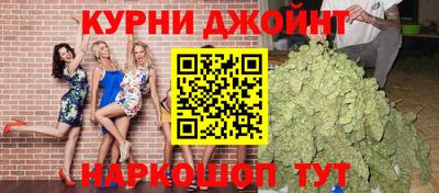 крисы Шебекино