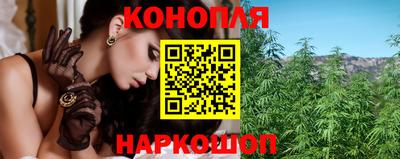 гашик Шелехов