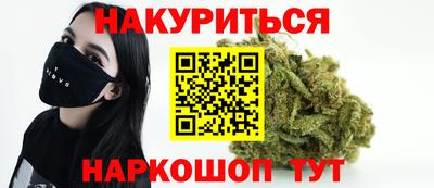 крисы Шебекино