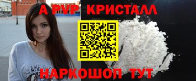 гашик Шелехов