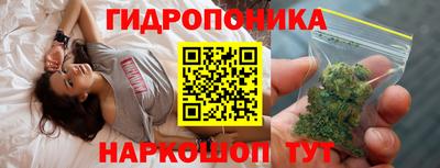 гашик Шелехов