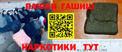 гашик Шелехов