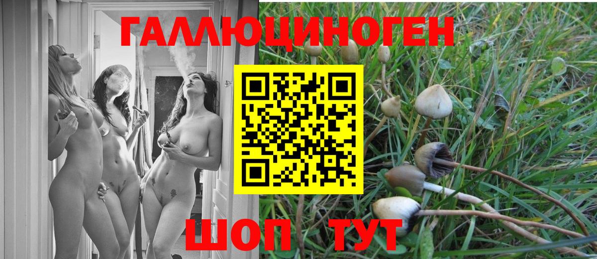 Псилоцибиновые грибы Cubensis  Вход с VPN  Азнакаево 