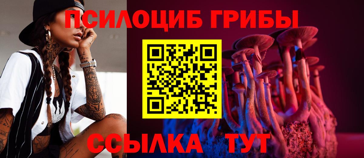 Псилоцибиновые грибы MAGIC MUSHROOMS Азнакаево